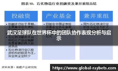 武汉足球队在世界杯中的团队协作表现分析与启示